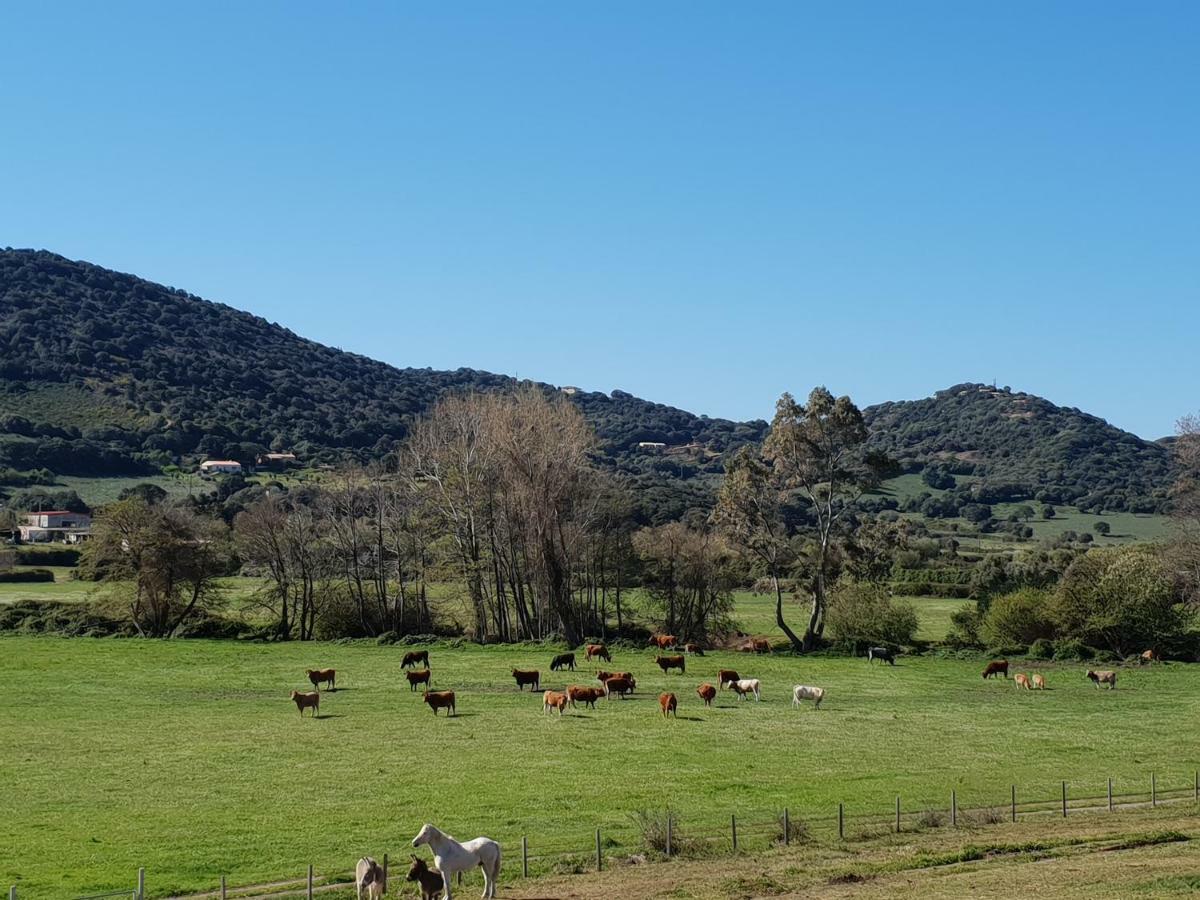 Ferme De Chiuni Villa Cargese Exterior photo